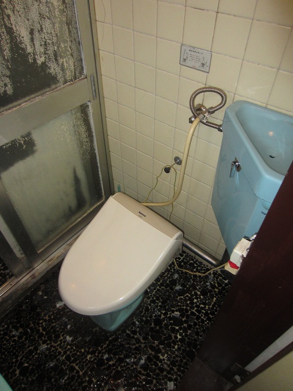 Toilet. Common use