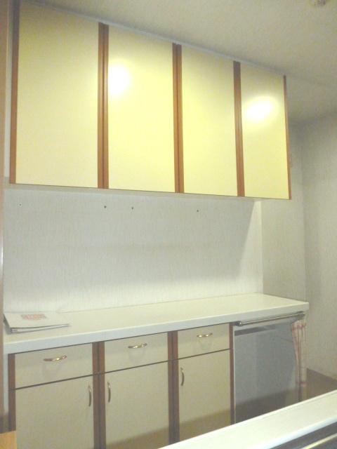 Kitchen. Indoor (11 May 2013) Shooting