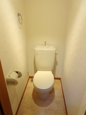 Toilet. Because the outlet is wired it is also possible to install the Washlet