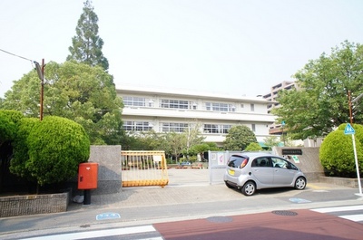 Primary school. 359m to Kawasaki Miyamae Elementary School (elementary school)