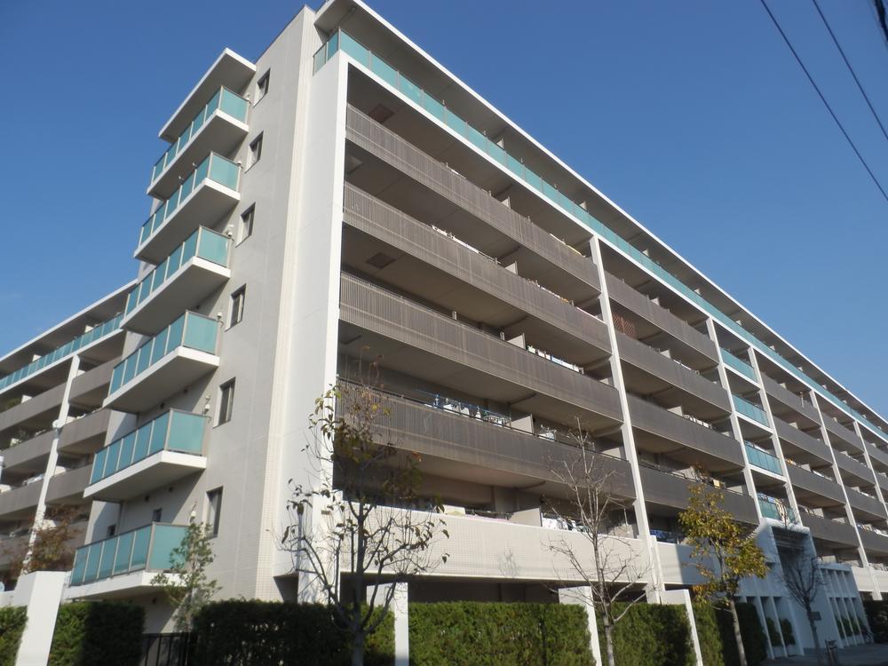 Local appearance photo. Local (11 May 2013) Shooting