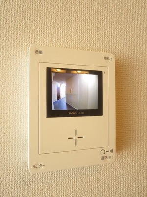 Security. There is a display with intercom of peace of mind