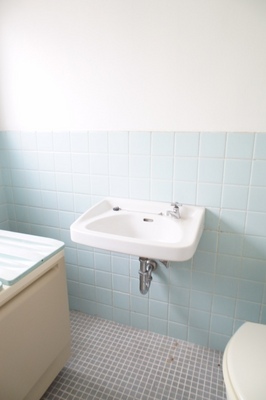 Washroom. Wash basin is located in the bathroom