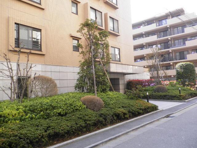 Local appearance photo