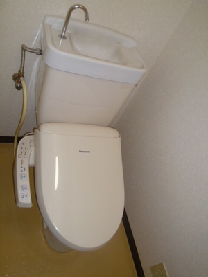 Toilet