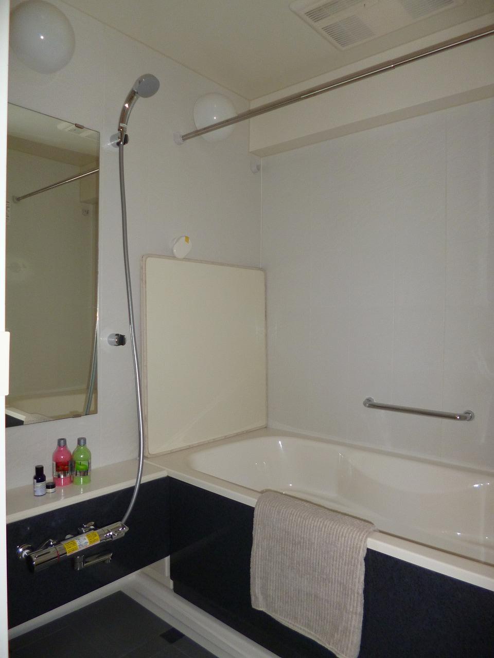 Bathroom. Indoor (11 May 2013) Shooting