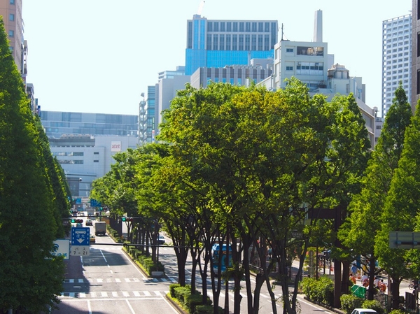 Local vicinity, Spacious tree-lined street of the city hall street (130m / A 2-minute walk) ※ Published photograph of is what was taken in February 2013.