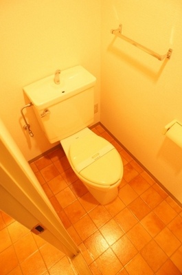 Toilet. From basin dressing room to the toilet. 