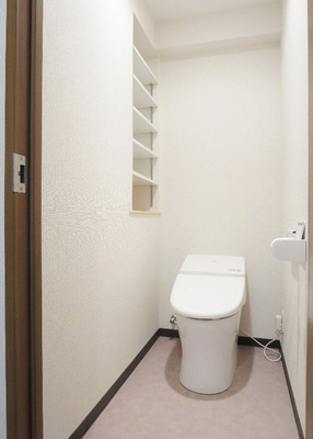 Toilet. Stylish tankless toilet. There is also a storage