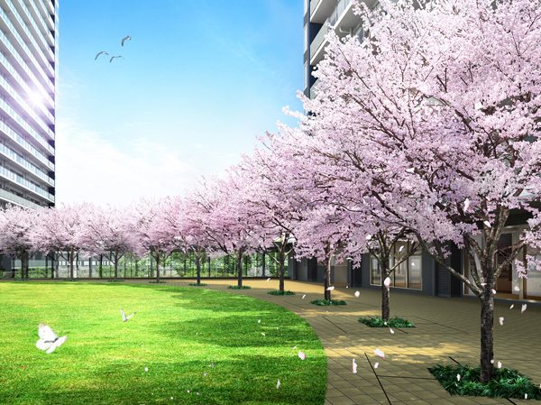 Shared facilities.  [Sakura Garden] Along with the coming of spring, Sakura Garden dyeing landscape of this town in cherry color. On the lawn surrounded by a cherry tree, Is a garden to be able to spend freely while feeling the warmth cheerful.  ※ When Building C delivery until (March 2016 plan) will be part of the use. (Sakura Garden Rendering).  ※ Rendering of the web is, Which was raised to draw based on the drawings of the planning stage, In fact and it may be slightly different. It should be noted, Planting does not indicate the status of a particular season. Also, It does not grow to about Rendering at the time of completion.