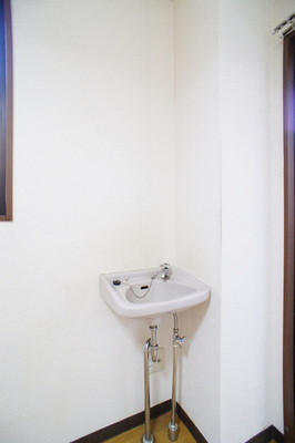 Washroom. Wash basin dedicated to interior! 