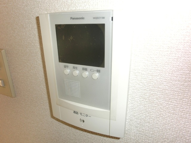 Security. Monitor with intercom