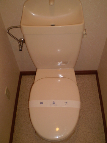 Toilet. Western-style with a clean