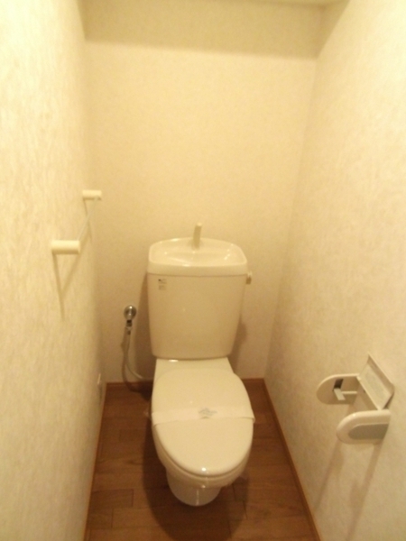 Toilet. Western-style toilet