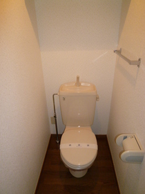 Toilet. It is a Western-style toilet with cleanliness