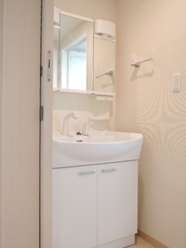 Washroom. Vanity with shower