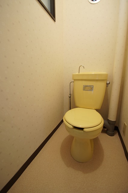 Toilet. Separated toilet