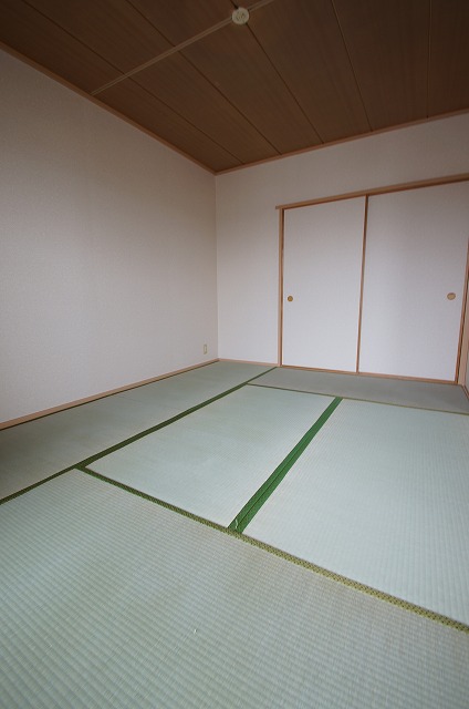 Living and room. Popular Japanese-style room