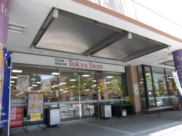 Supermarket. Tokyu Store Chain & canned up to 320m walking 4 minutes