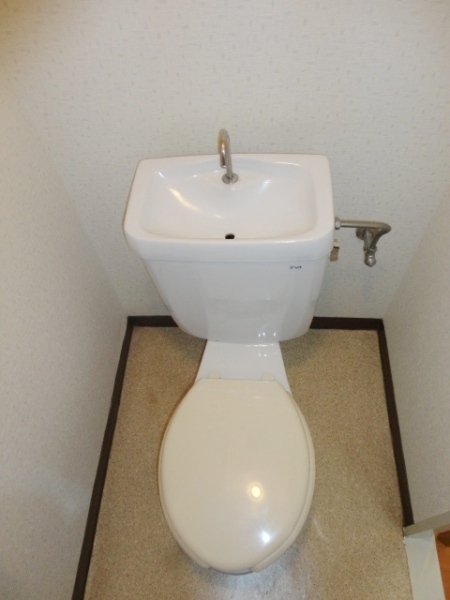 Toilet. Beautiful Western-style toilet