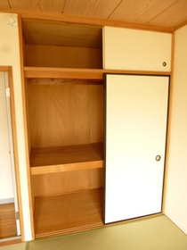 Other. It is closet storage lot