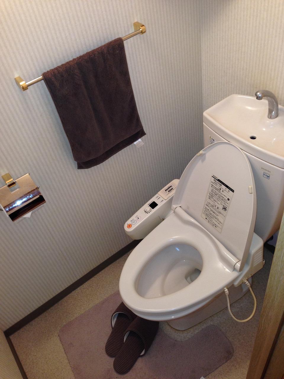 Toilet