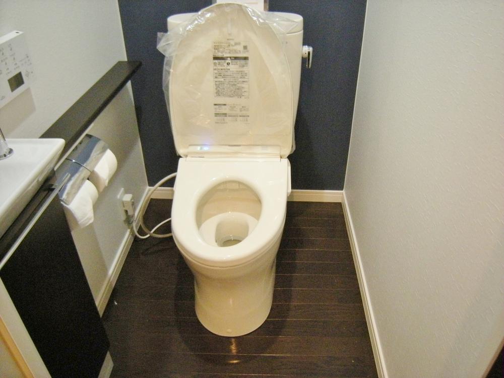 Toilet. Shower toilet