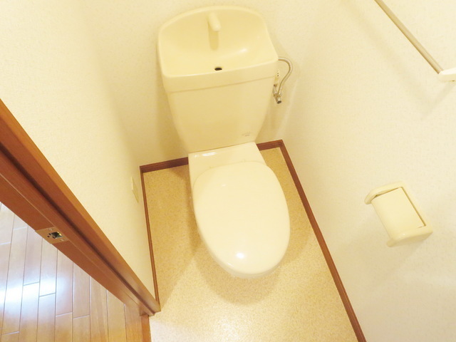 Toilet. Toilet space to settle down
