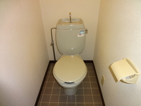 Toilet. Western-style toilet