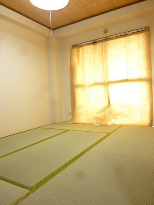 Living and room. Day good