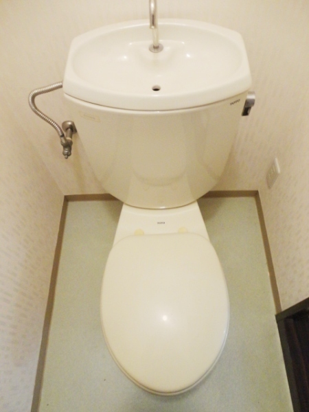 Toilet. Western-style toilet with cleanliness