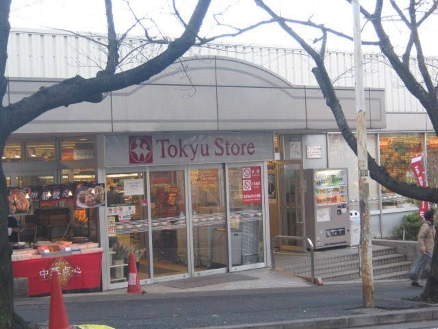 Other. 760m to Tokyu Store Chain (Other)