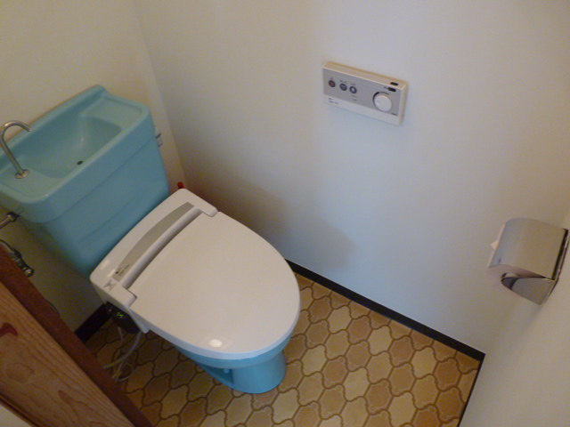 Toilet. Toilet with a bidet!