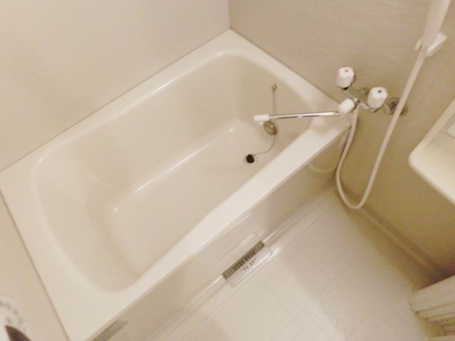 Bath. Spacious bathroom with reheating