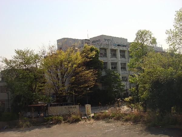 Primary school. Inukura 50m to elementary school