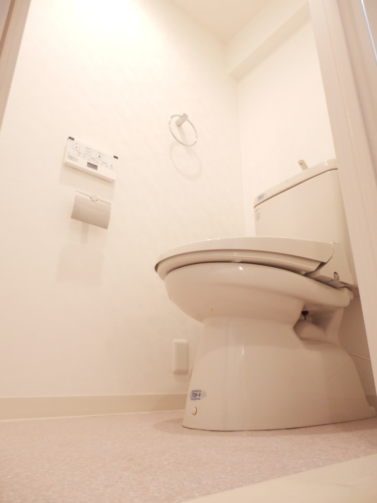 Toilet. It is a reference image of another room
