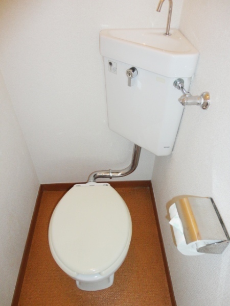 Toilet. Beautiful Western-style toilet