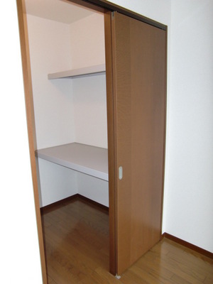 Receipt. Walk-in closet with a storage capacity ☆