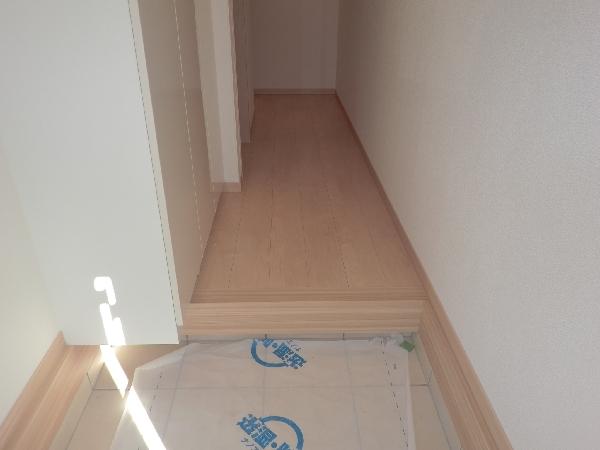 Other introspection. Entrance