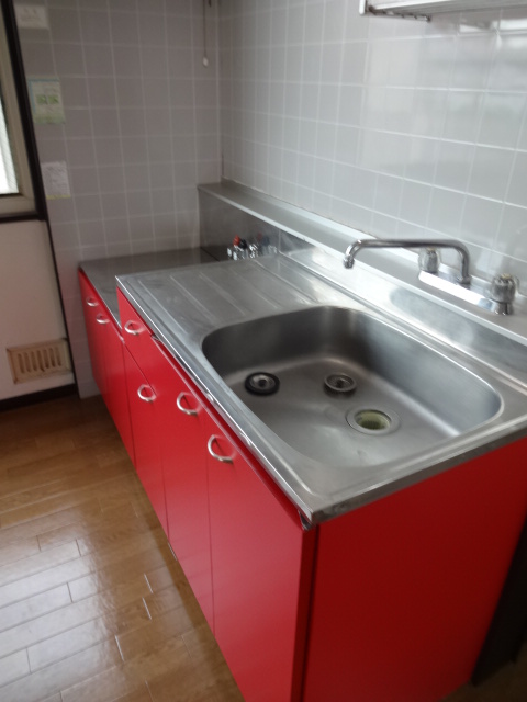 Kitchen. Cute red kitchen