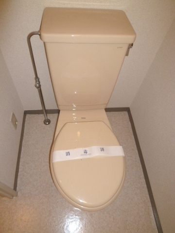 Toilet. Western-style toilet
