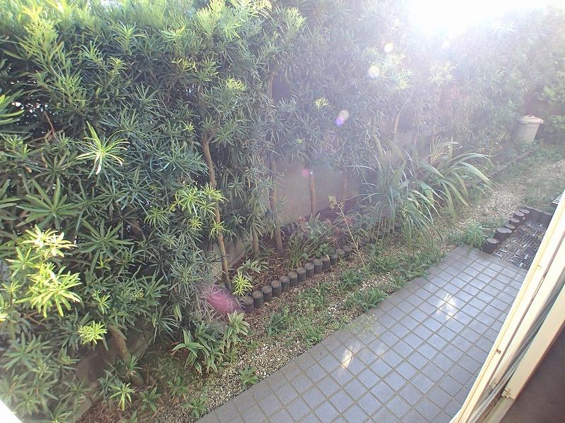 Garden. There is also a little garden. 