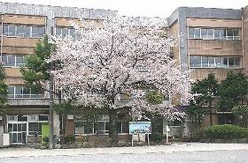 Primary school. Miyazakidai until elementary school 70m