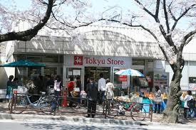 Supermarket. In the 800m in front of the station super until Miyazakidai Tokyu Store Chain, It is open until 1 am from 7 am!