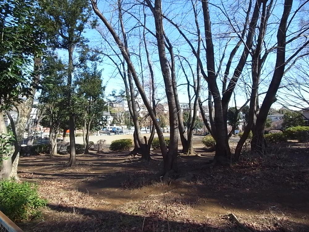 Other. 3-minute walk (about 170m) of Arima oak park