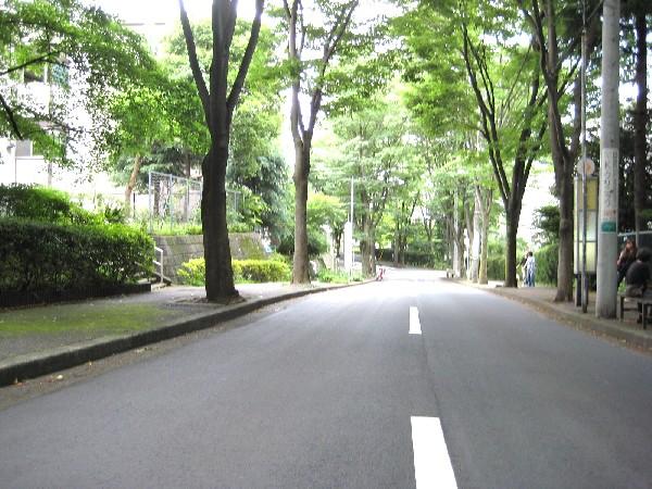 Streets around. Until Keyakidaira 200m