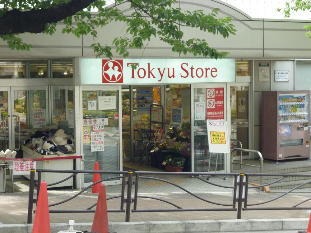 Other. Tokyu Store Chain