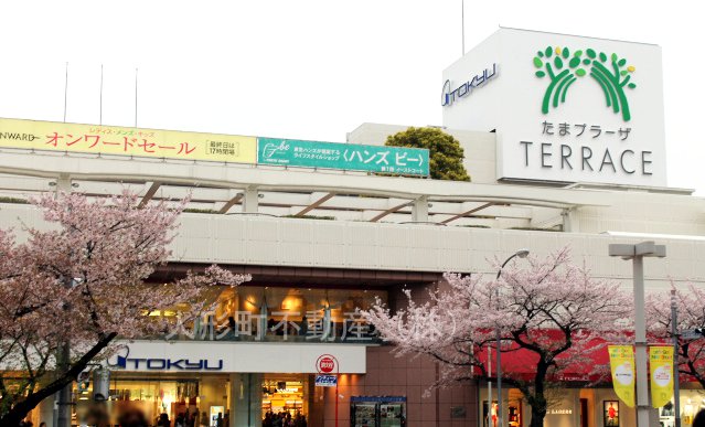 Shopping centre. Tama 1126m until the plaza terrace gate Plaza (shopping center)