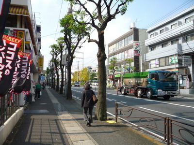 Other. Shitte Kurokawa road Maginu 355m to the intersection (Other)