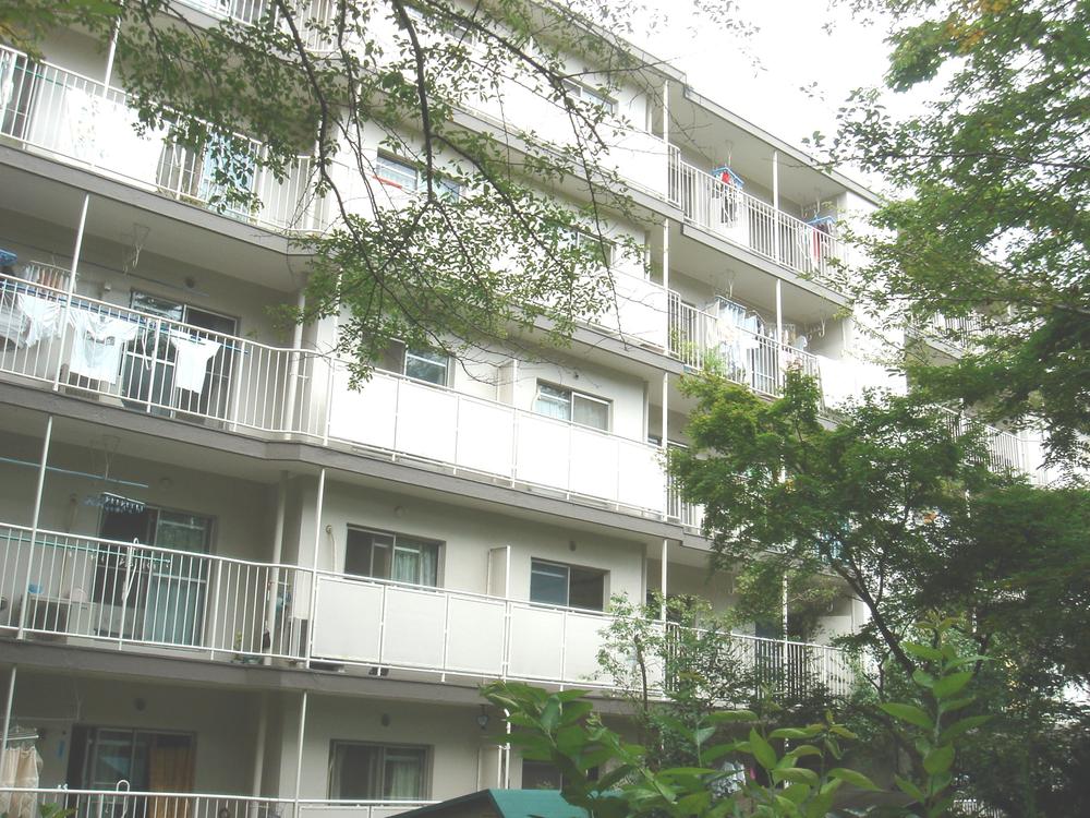 Local appearance photo. Building from the front park